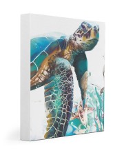 Turtle Art 2606 11x14 Gallery Wrapped Canvas Prints front