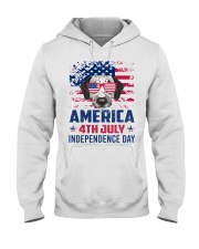 Dalmatian Happy 4th of July - 4th July Hooded Sweatshirt thumbnail