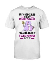 LIKED IT TOLD MEMERE - GREAT GIFT FOR GRANDCHILD Premium Fit Mens Tee tile