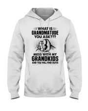What Is Grandmatude You Ask - Perfect Gift For Grandma Hooded Sweatshirt tile