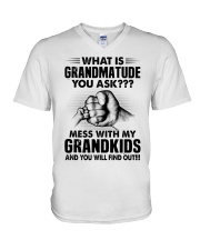 What Is Grandmatude You Ask - Perfect Gift For Grandma V-Neck T-Shirt tile