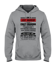1 DAY LEFT - GET YOURS NOW Hooded Sweatshirt thumbnail