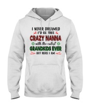 I Never Dreamed - Perfect Gift For Nanna Hooded Sweatshirt tile