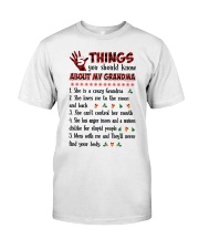 5 Things You Shou Know About My Grandma Premium Fit Mens Tee tile