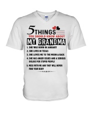 5 THINGS YOU SHOULD KNOW ABOUT MY GRANDMA V-Neck T-Shirt tile