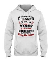 THE CUTEST GRANDKIDS - PERFECT GIFT FOR MAMMY Hooded Sweatshirt tile