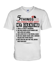 5 THINGS YOU SHOULD KNOW ABOUT MY GRANDMA V-Neck T-Shirt tile