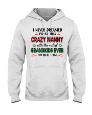 I Never Dreamed - Perfect Gift For Nanny Hooded Sweatshirt tile