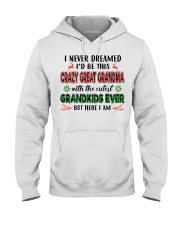 I Never Dreamed - Perfect Gift For Great Grandma Hooded Sweatshirt tile