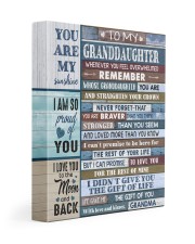 GIFT OF LIFE - TO GRANDDAUGHTER FROM GRANDMA 11x14 Gallery Wrapped Canvas Prints front