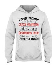 LIVING THE DREAM - PERFECT GIFT FOR GRANDMA Hooded Sweatshirt tile