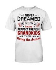 LIVING THE DREAM - PERFECT GIFT FOR GRANDMA Premium Fit Mens Tee tile