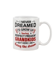 LIVING THE DREAM - PERFECT GIFT FOR GRANDMA Mug tile