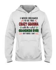 I Never Dreamed - Perfect Gift For Grandma Hooded Sweatshirt tile