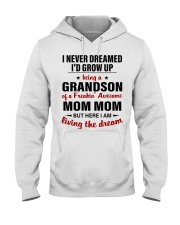 LIVING THE DREAM - BEST GIFT FOR GRANDSON Hooded Sweatshirt tile