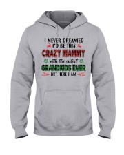 I Never Dreamed - Perfect Gift For Mammy Hooded Sweatshirt front