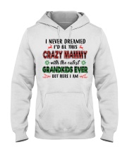 I Never Dreamed - Perfect Gift For Mammy Hooded Sweatshirt tile