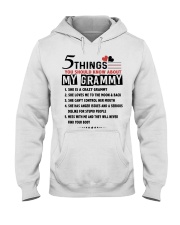 5 THINGS YOU SHOULD KNOW ABOUT MY GRAMMY Hooded Sweatshirt tile