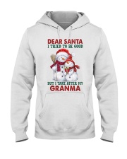 I Take After My Granma - Best Gift For Grandchild Hooded Sweatshirt tile