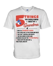 5 THINGS YOU SHOULD KNOW ABOUT MY GRANDMA V-Neck T-Shirt tile