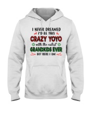 I Never Dreamed - Perfect Gift For Yoyo Hooded Sweatshirt tile