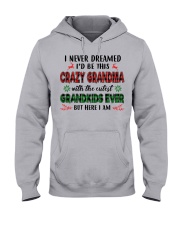 I Never Dreamed - Perfect Gift For Grandma Hooded Sweatshirt front