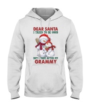 I Take After My Grammy - Best Gift For Grandchild Hooded Sweatshirt tile
