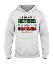 I'm A Professional Grandma Hooded Sweatshirt tile