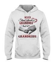 Grandma And Grandkids - Best Gift For Grandma Hooded Sweatshirt tile