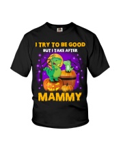 I Try To Be Good - Amazing Gift For Grandkids Youth T-Shirt front
