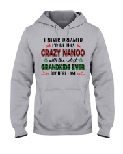I Never Dreamed - Perfect Gift For Nanoo Hooded Sweatshirt front