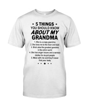 5 THINGS ABOUT MY GRANDMA Premium Fit Mens Tee tile