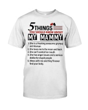 5 THINGS YOU SHOULD KNOW ABOUT MY MAMMY Premium Fit Mens Tee tile