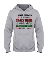 I Never Dreamed - Perfect Gift For Grandma Hooded Sweatshirt front