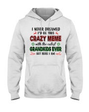I Never Dreamed - Perfect Gift For Grandma Hooded Sweatshirt tile
