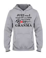 1 DAY LEFT - GET YOURS NOW Hooded Sweatshirt front