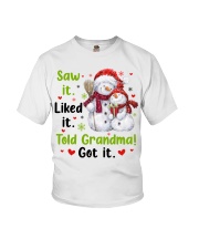 SAW IT. LIKED IT. TOLD GRANDMA! GOT IT. Youth T-Shirt tile