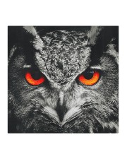 Owl face Cloth face mask aos-face-mask-coverlet-lifestyle-front-02