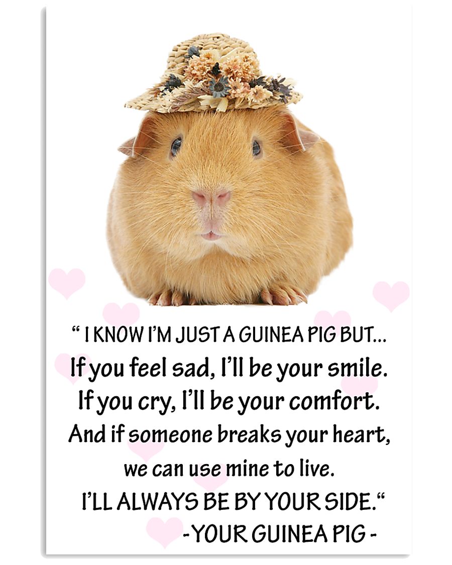 GUINEA PIG 11x17 Poster