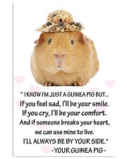 GUINEA PIG 11x17 Poster front