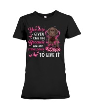 This Life - CHOCOLATE Labrador Premium Fit Ladies Tee tile