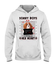Stole - Cavalier King Charles Spaniel 1 Hooded Sweatshirt tile