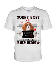 Stole - Cavalier King Charles Spaniel 1 V-Neck T-Shirt tile