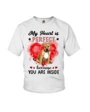 Perfect - Pitbull Boxer Mix Youth T-Shirt tile