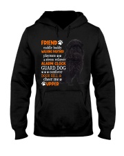 Playmate - Affenpinscher Hooded Sweatshirt tile