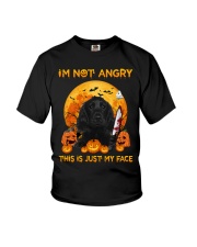 Angry - BLACK Cocker Spaniel Youth T-Shirt tile