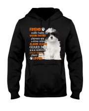 Playmate - Havanese 1 Hooded Sweatshirt tile
