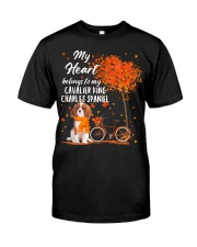 Belonging - Cavalier King Charles Spaniel 1 Classic T-Shirt front