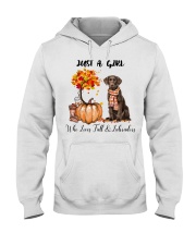 Fall And - Labrador Hooded Sweatshirt tile