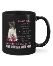Talking Me - American Akita Mugs tile
